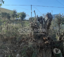 Terrenos Vila Nova de Gaia - Fotos para Lote para moradia na Sra da Saúde Carvalhos. (MAD 00639)